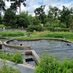 Rivière des chèvres