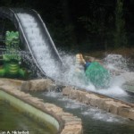 Kroko Splash