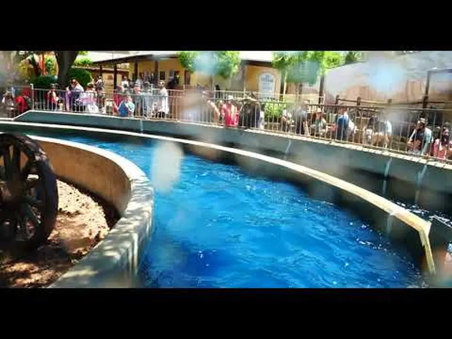 Video der Bahn