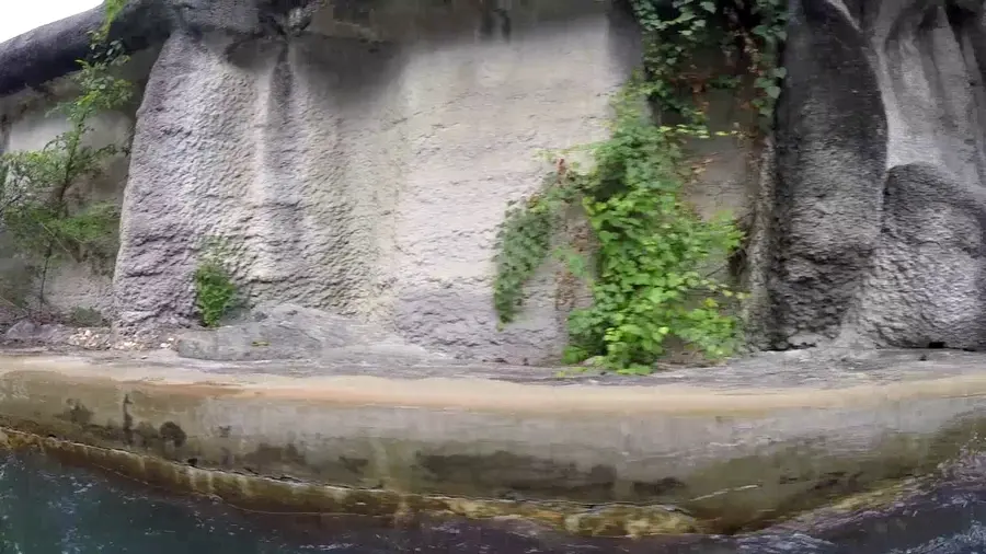 Video der Bahn