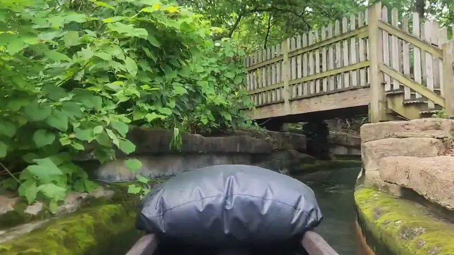 Video der Bahn
