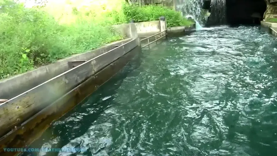 Video der Bahn